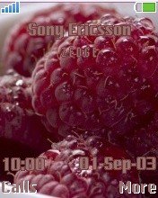 Rapsberries -  1