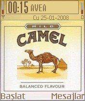 Camel -  1