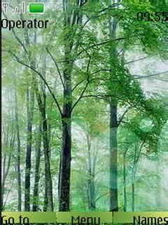 Green Wood -  1