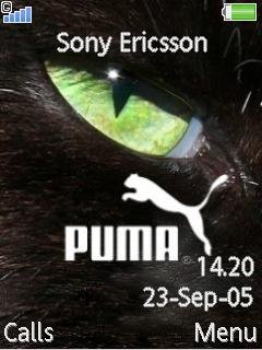 Puma Eye -  1