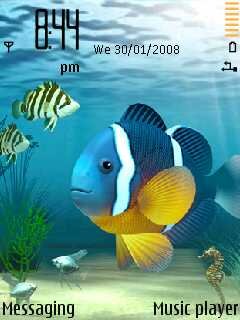 Clown Fish -  1