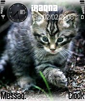 Wild Kitten -  1