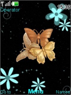 Natural Butterflies -  1