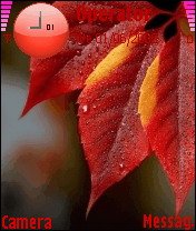 Red Leaf -  1