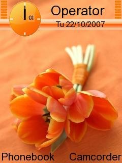 Orange Flowers -  1