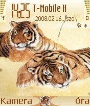 Tiger Love -  1