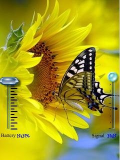 Sunflower Butterfly -  1