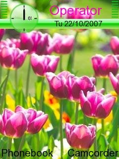 Tulips -  1