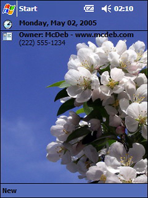 Blossoming Tree -  1