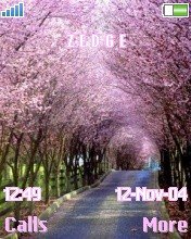 Pink Road -  1