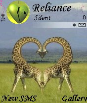 Giraffes In Love -  1