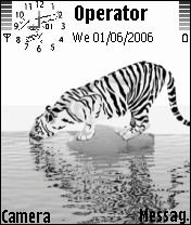Tiger -  1