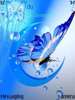 Blue Butterfly -  1