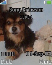 The Black - �������� 1