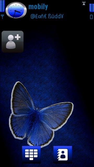 Blue Butterfly -  1