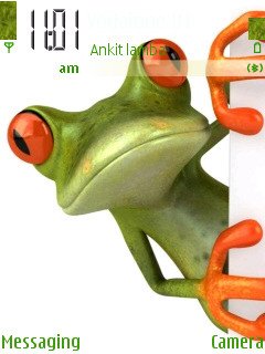 Frog -  1