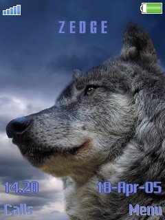 Wolf012009 -  1