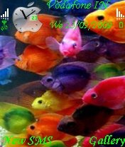 Colorful Fish -  1