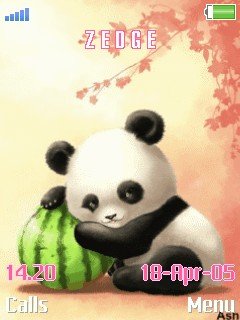Baby Panda -  1