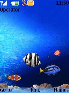 Aquarium Animated -  1