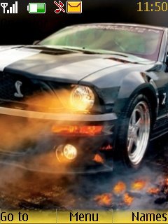 Cool Mustang -  1