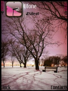 Pink Winter -  1