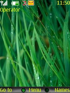 Grass Blades -  1