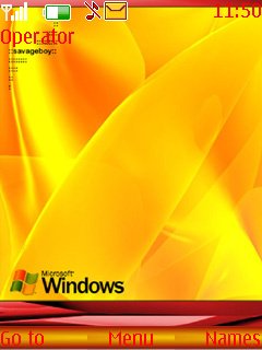 Ms Windows -  1