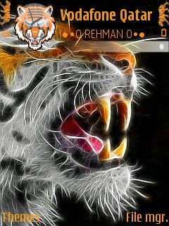 Tiger Roar -  1