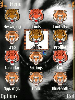 Tiger Roar -  2