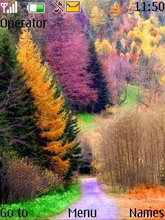 Forest Autumn -  1