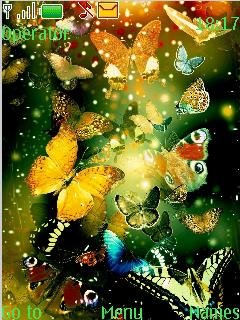 Butterflies  -  1