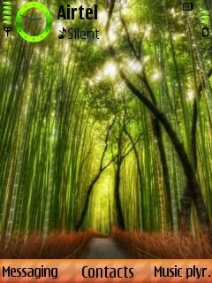 Bamboo Forest -  1