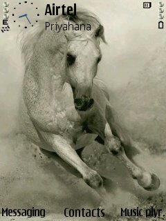 white horse -  1