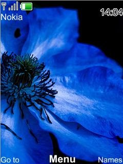 Blue Flower -  1