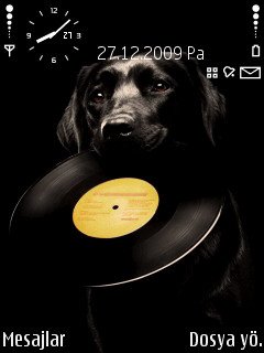 Black Dog -  1