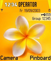 Yellow Flower -  1