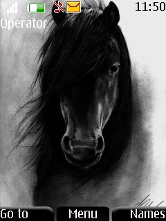 Black Horse -  1