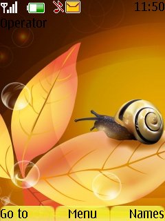 snail -  1