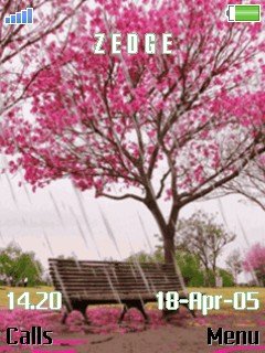 Pink Rain -  1