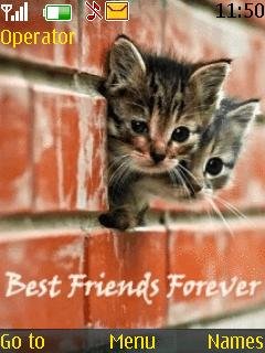 Best Friends Forever -  1