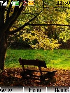 Lonely Bench -  1