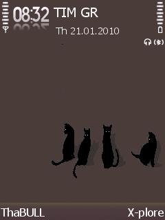 Black Cats -  1