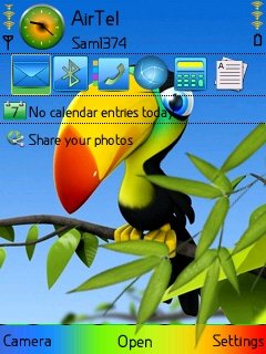 Colourful Toucan -  1