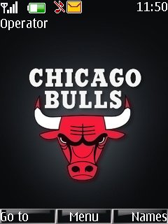 Chicago Bulls -  1