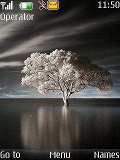 Night Tree -  1