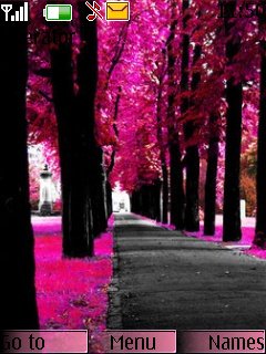 Pink Way W Tone -  1