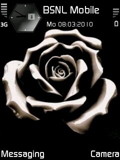 Black Rose -  1