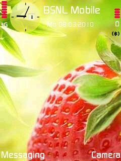 strawberry -  1