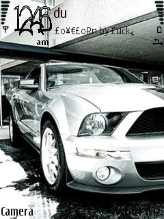 Mustang -  1